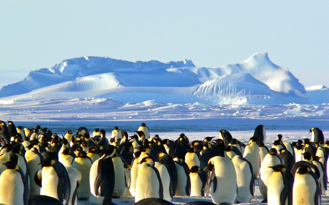 Quel est mon iceberg ?