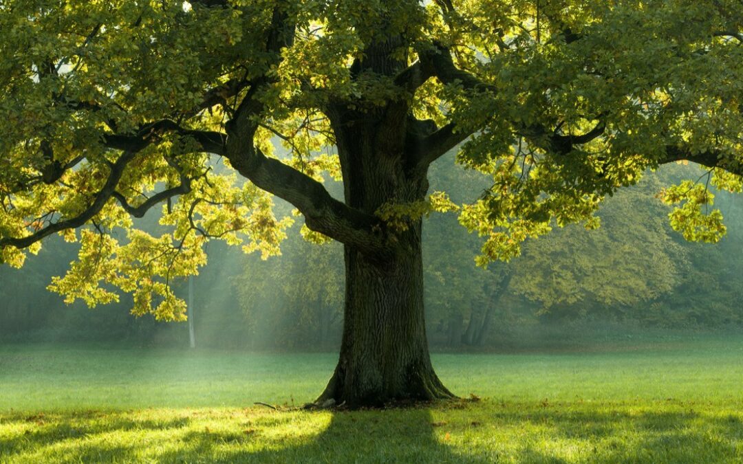 Vous croyez manquer de confiance en vous ?