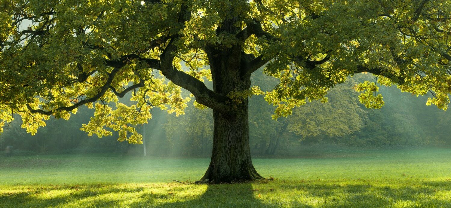 Vous croyez manquer de confiance en vous ?